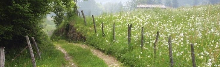 Mystic's New Year Fun Discord Server Banner