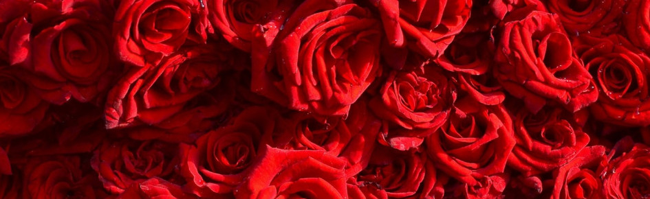 Melokei Official - VK Discord Discord Server Banner