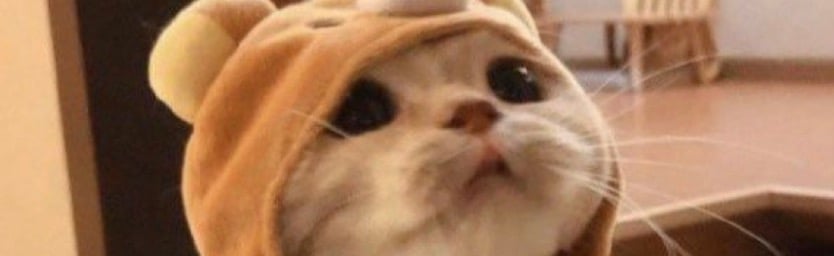 The Zone Discord Server Banner