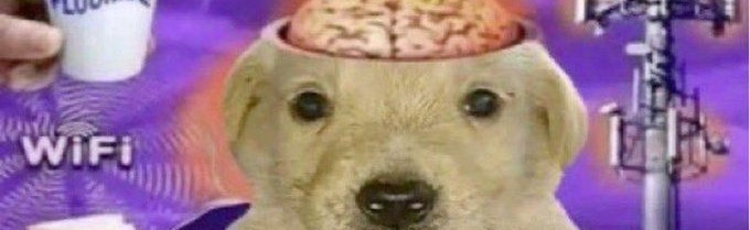 Tork: confliction Discord Server Banner