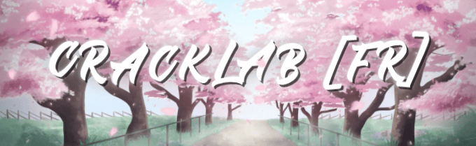CrackLab [FR] Discord Server Banner