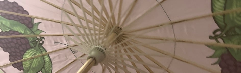 Xyraas proofs 🌸 Discord Server Banner