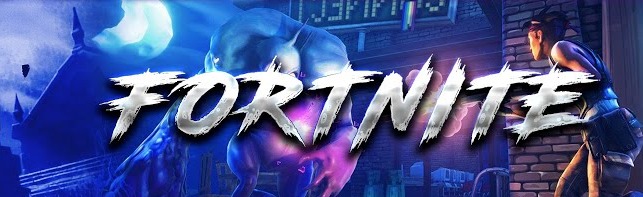 Fortnite gaming Discord Server Banner