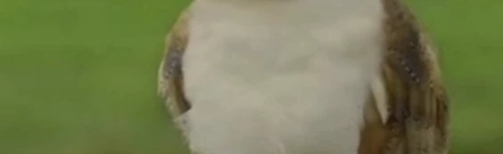 loltwerks💕 Discord Server Banner