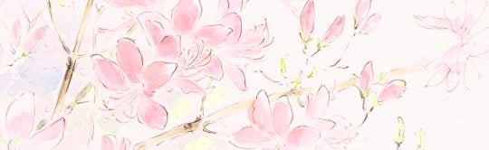 pink emotes Discord Server Banner