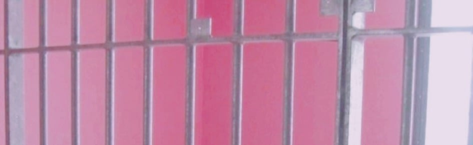 ʚ cuupid's dungeon ɞ Discord Server Banner