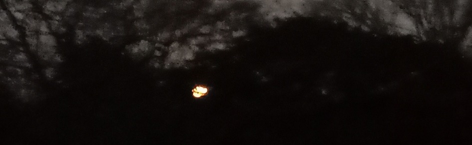 The Cave Of Bats 18+ Discord Server Banner