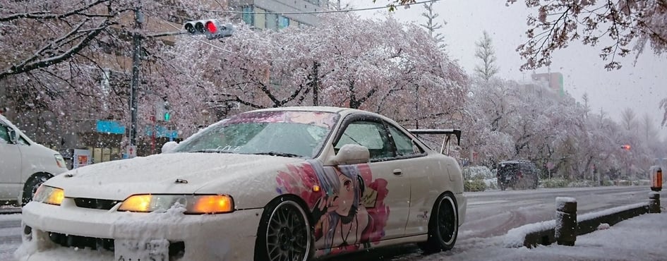 borpa cult Discord Server Banner