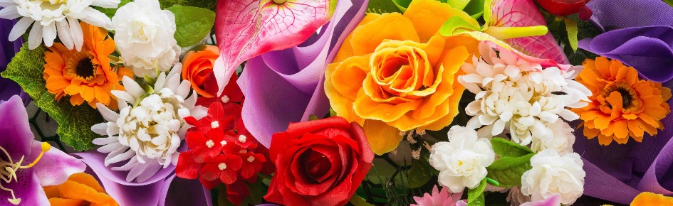 La brigade des thons Discord Server Banner