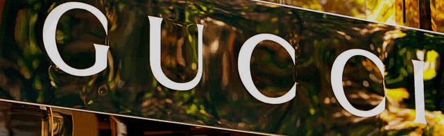 Casa Da Gucci Discord Server Banner