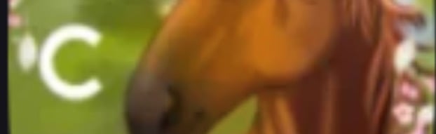 L.c.s.Main Game Bêta   La haras Discord Server Banner