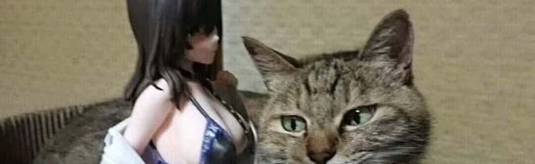 Baka Hentai Discord Server Banner