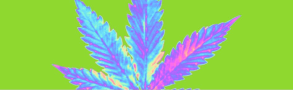 LazyLand? Discord Server Banner