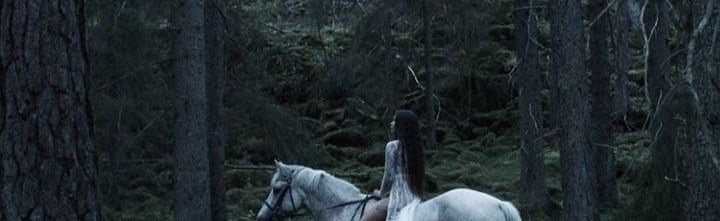 ⋅˚₊‧ ୨ 𝒩𝑒𝓌𝒾𝓁𝓁𝑒𝓉𝓉𝑒'𝓈 Discord Server Banner