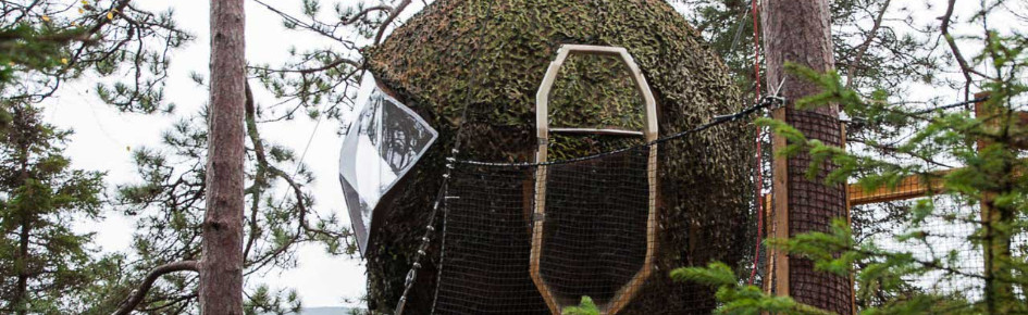 /Fr/LE CAMPEMENT Discord Server Banner