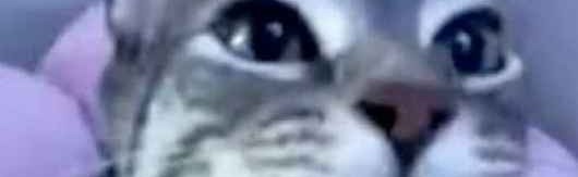 The Comic Creator Collective T3C Discord Server Banner