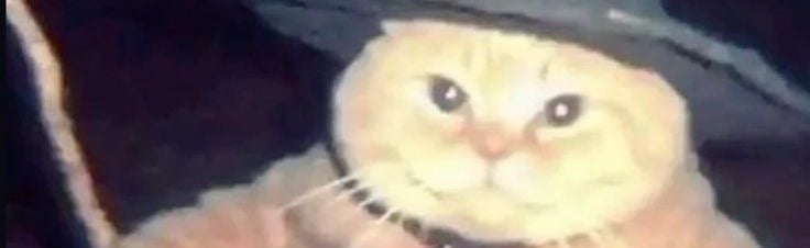 Chill cafe Discord Server Banner