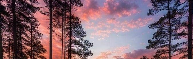 Draw&Chill Discord Server Banner