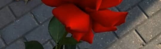 Fantasy Discord Server Banner