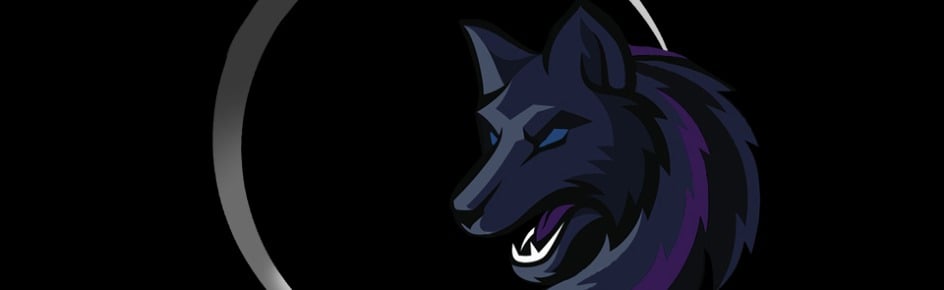 Silver Sun Gaming Discord Server Banner