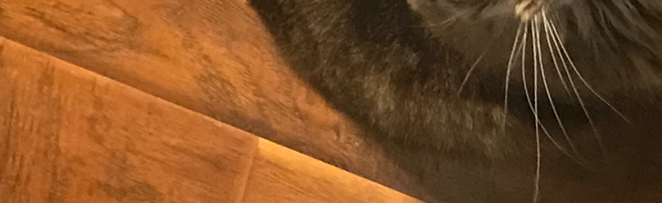 endy made this Discord Server Banner