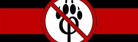 League Anti-Furry Discord Server Banner