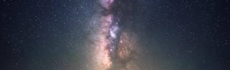 Primal Diet Discord Server Banner