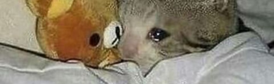 Bee squad ? Discord Server Banner