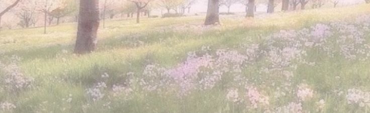 pastel realms Discord Server Banner