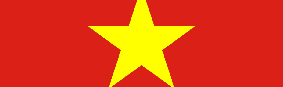 VİETNAM/PİXELLİYA Discord Server Banner