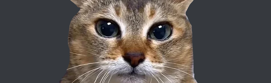 Crypto - $TOLETOLE Token Discord Server Banner