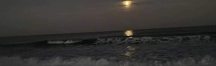 seras paradise!! Discord Server Banner