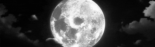 Moon ● Socialize ● Yap ● Roast Discord Server Banner