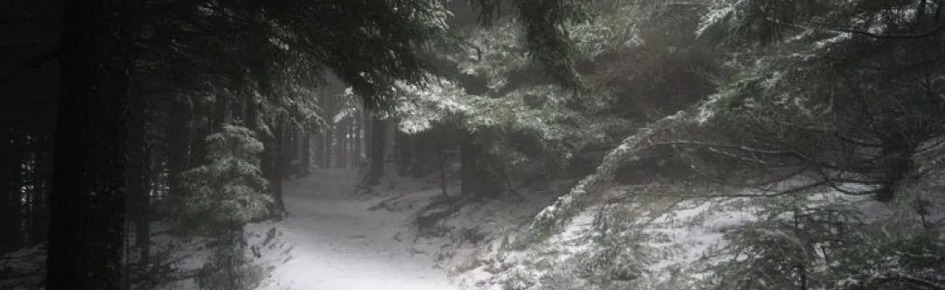 ˚₊‧꒰ა spacehey ໒꒱ ‧₊˚ Discord Server Banner