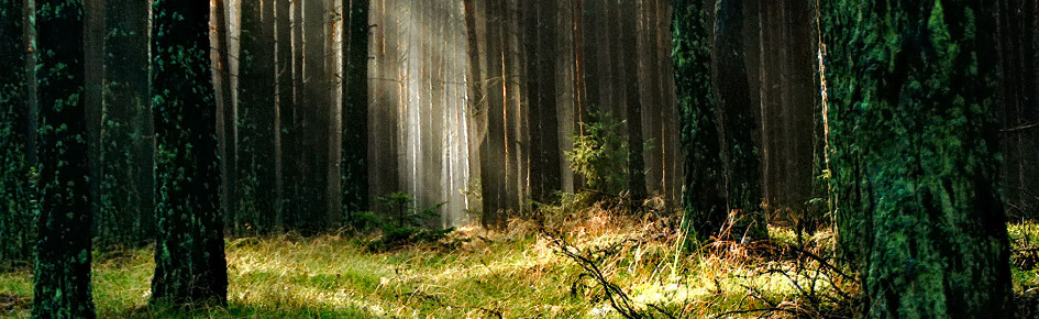 Misantropie - Filosofie zítřka Discord Server Banner