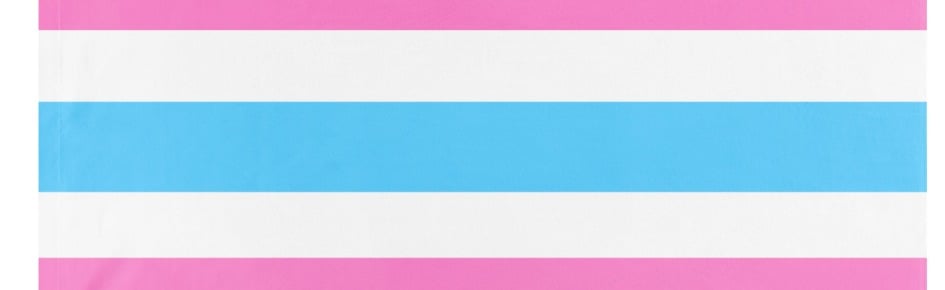 Misty's Femboy Hangout Discord Server Banner