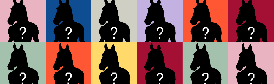 The Alpha Pony Society NFT Discord Server Banner