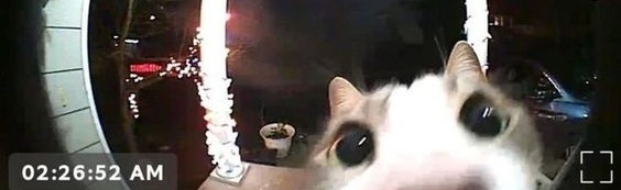 Jorkanators Discord Server Banner