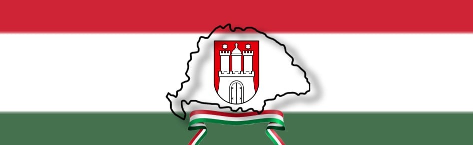 Burglandhu Discord Server Banner