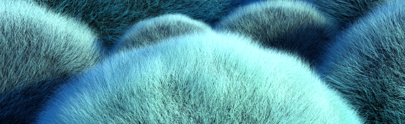 BlackPaw's Random Projects Discord Server Banner