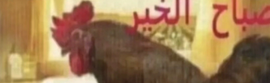 SLAV CENTER Discord Server Banner