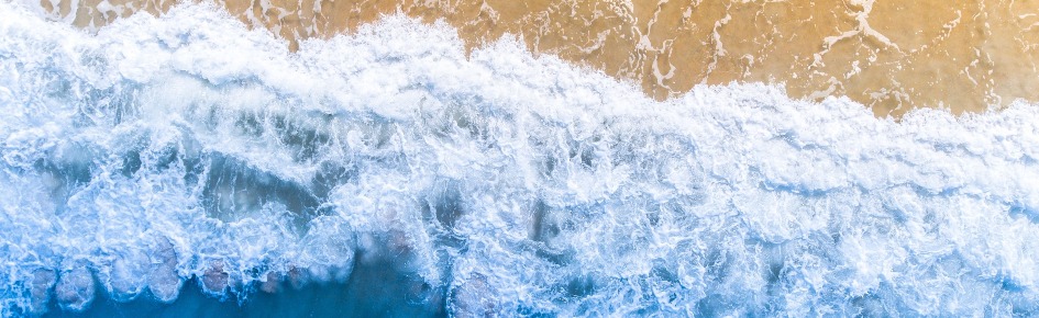 The Aloha Gang Discord Server Banner