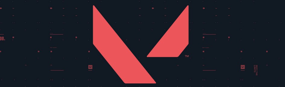 Valorant Tourney Discord Server Banner