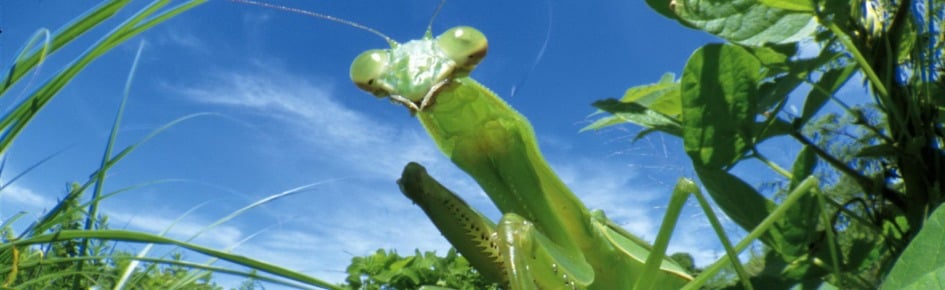 very epic server Discord Server Banner