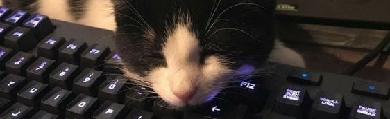 .gg/leave Discord Server Banner