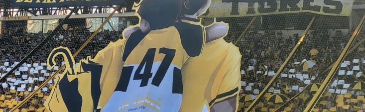 Criciúma E.C Discord Server Banner