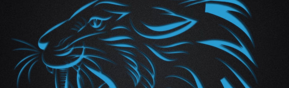 Wolavier Discord Server Banner