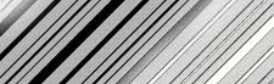 Communal Lounge for Everyone Discord Server Banner