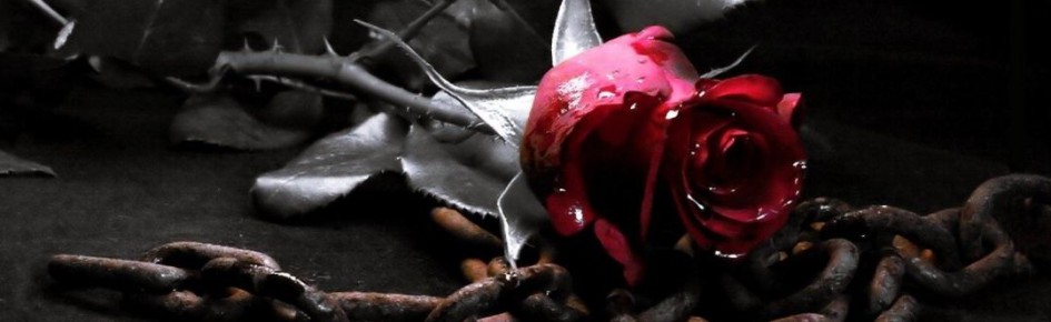 Templo Vanhelico Discord Server Banner