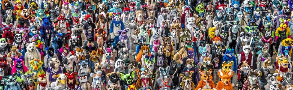 Furry Fandom Community Discord Server Banner